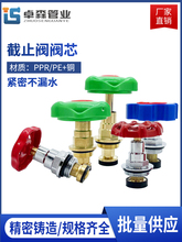 PE/PPR4分6分截止阀阀芯铜阀芯升降芯国标水开关配件DN20 25