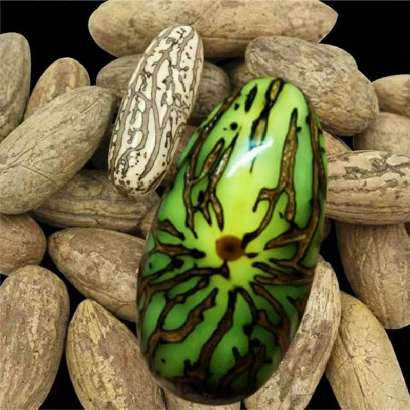 Премиум сырье из семян бодхи «Тысяча глаз»: зеленые, красные и старые плоды, отборные браслеты из корня бодхи