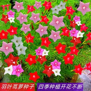 ���~�\�}���N��ͥԺ����ֲ������ǻ������̨�ļ��׷N���_������