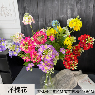 �󻱻����滨�Ƶ�Ҿ��b[���ٻ���c��Y�ò����쾰�����󻱻�