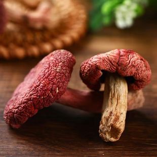 С�t����؛���l��؛���������������a�Ҝ�ʳ�ļtĢ����t����