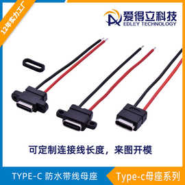防水typec母座注塑焊线67级防水带线type-c母座连接器生产厂家