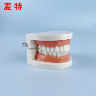 �����������Xģ�Ϳ�ǻ���Ĳ��ϏS�����l�̌W����С��ģ��������