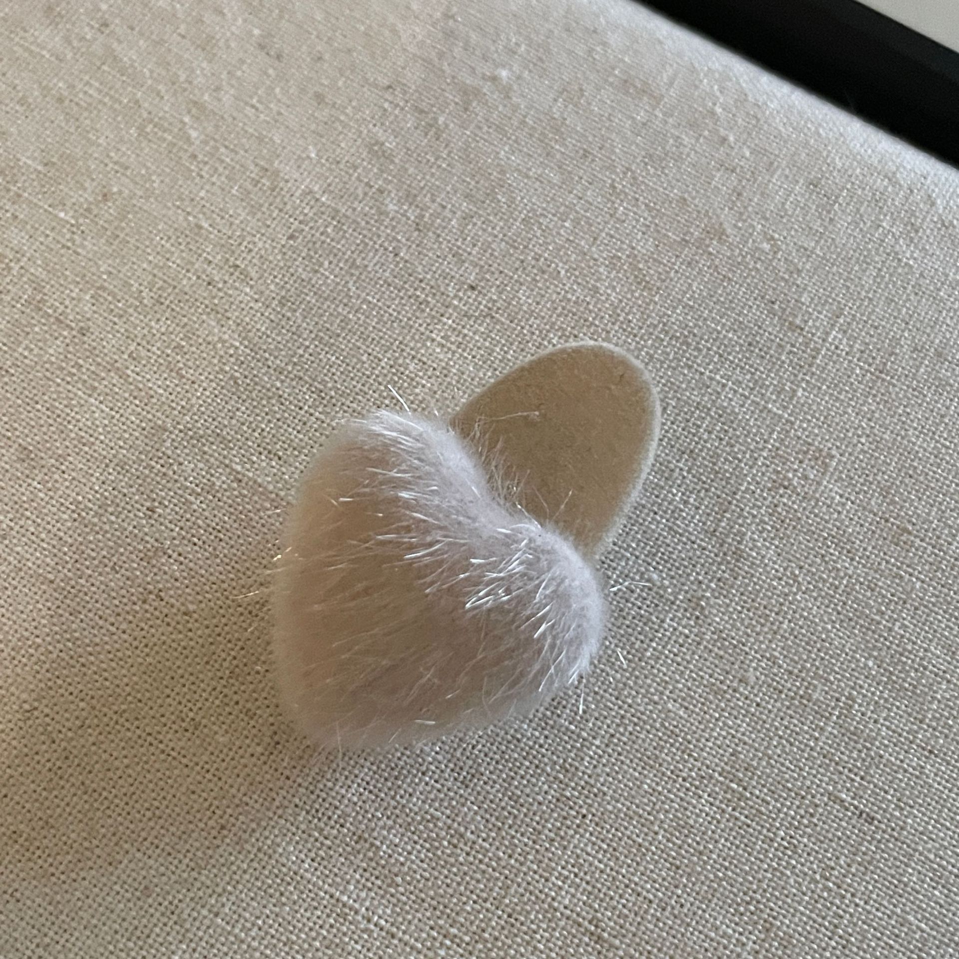 微信图片_20231023215023