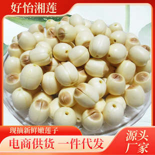 ���rɏ��ȥо�oоɏ��ȥƤ��ɏ�ӝ�ɏ�Ӱ��B�ӷǸ�؛��ɏ����