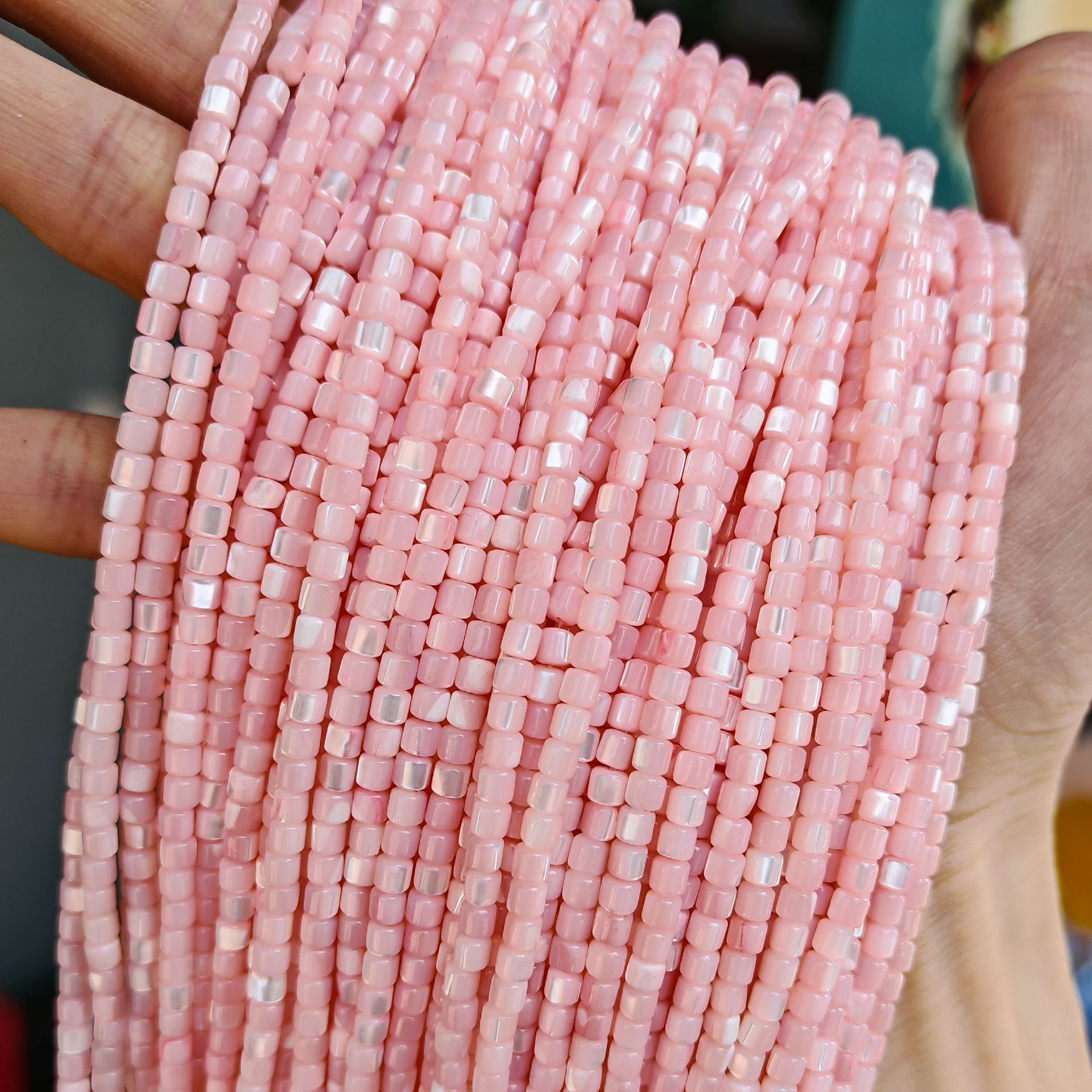 Caracol herradura-rosa