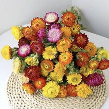 ��ϸɻ��滨�������߲ʾ�С�r�տ͏d�Ҿ��b[�������r������؛