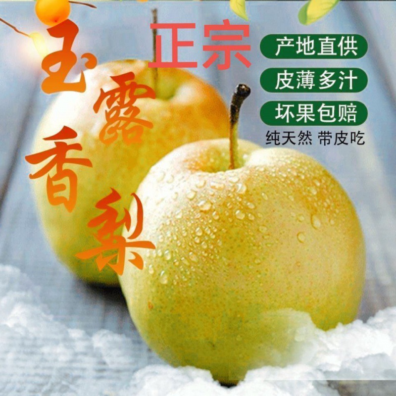 玉露香梨梨子新鲜水果孕妇酥梨3/5/10斤大果脆甜多汁细嫩无渣包邮|ru