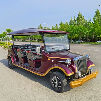Electric Retro Car, Aosen Auto Parts and Accessories