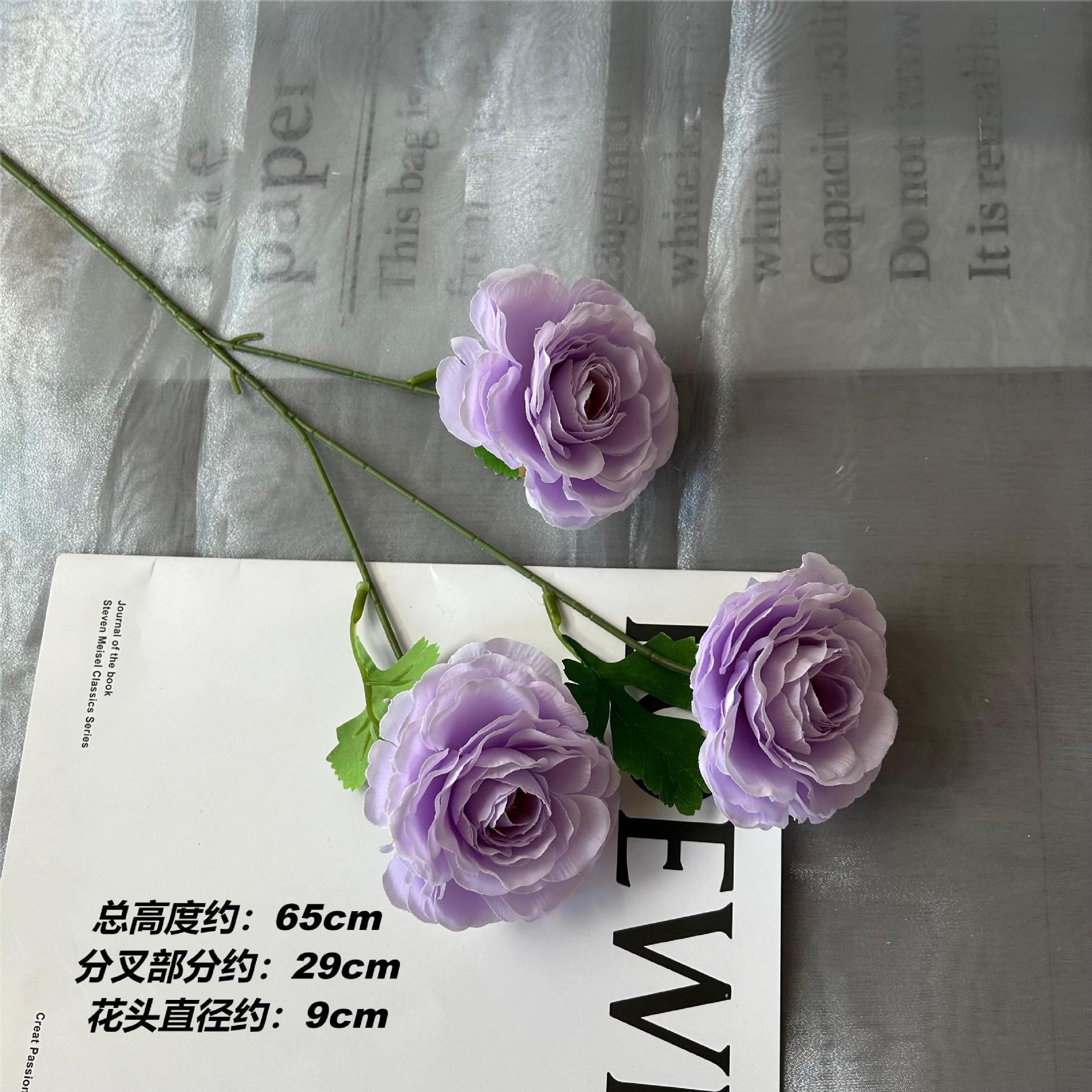 DG 루리안