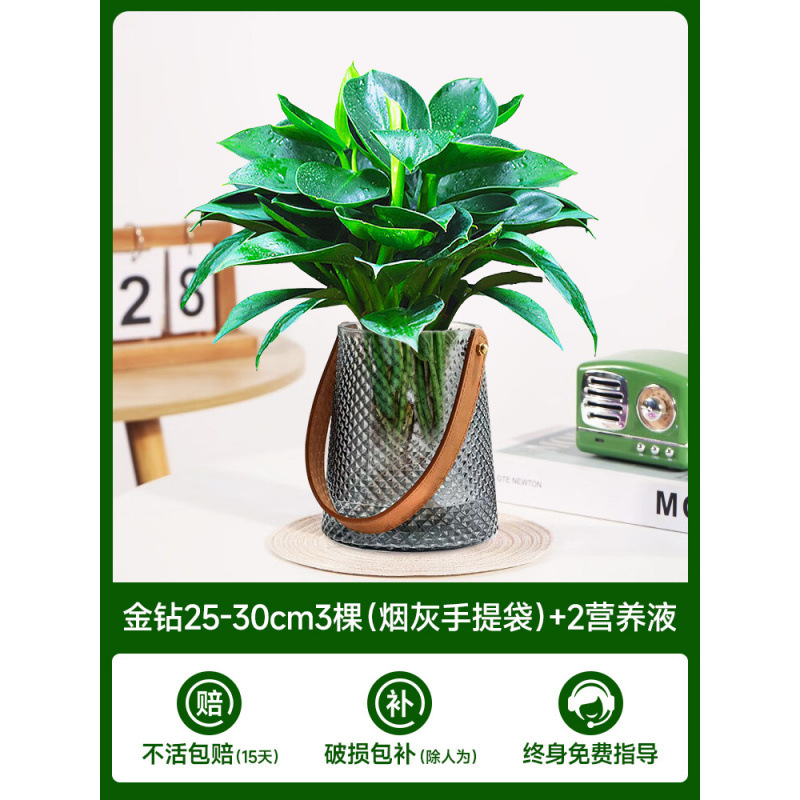 고급 대형 금다이아몬드 3개(재가방) + 수정머드 + 영양액 2개