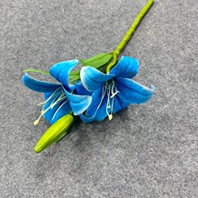 �羳�����z���ٺϻ��߼��б���@ˇ�廨�ٻ��zӰ�b��߰ٺ����l