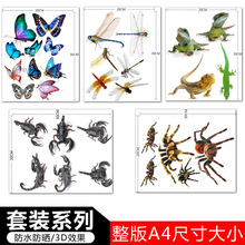 ��܇�N����ˮ����܇�����b��ړ����Ԅ���܇�����w�N��܇�N�κ��N