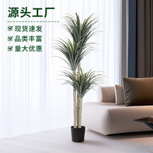 �¿������Ѫ��Gֲ�辰ɳ��ֲ�����ԼҾӻ��@�G���b�����٘�