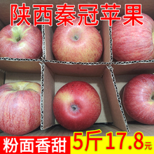 正宗陕西老树秦冠苹果粉面沙甜产地直发新鲜水果整箱大红平果送人