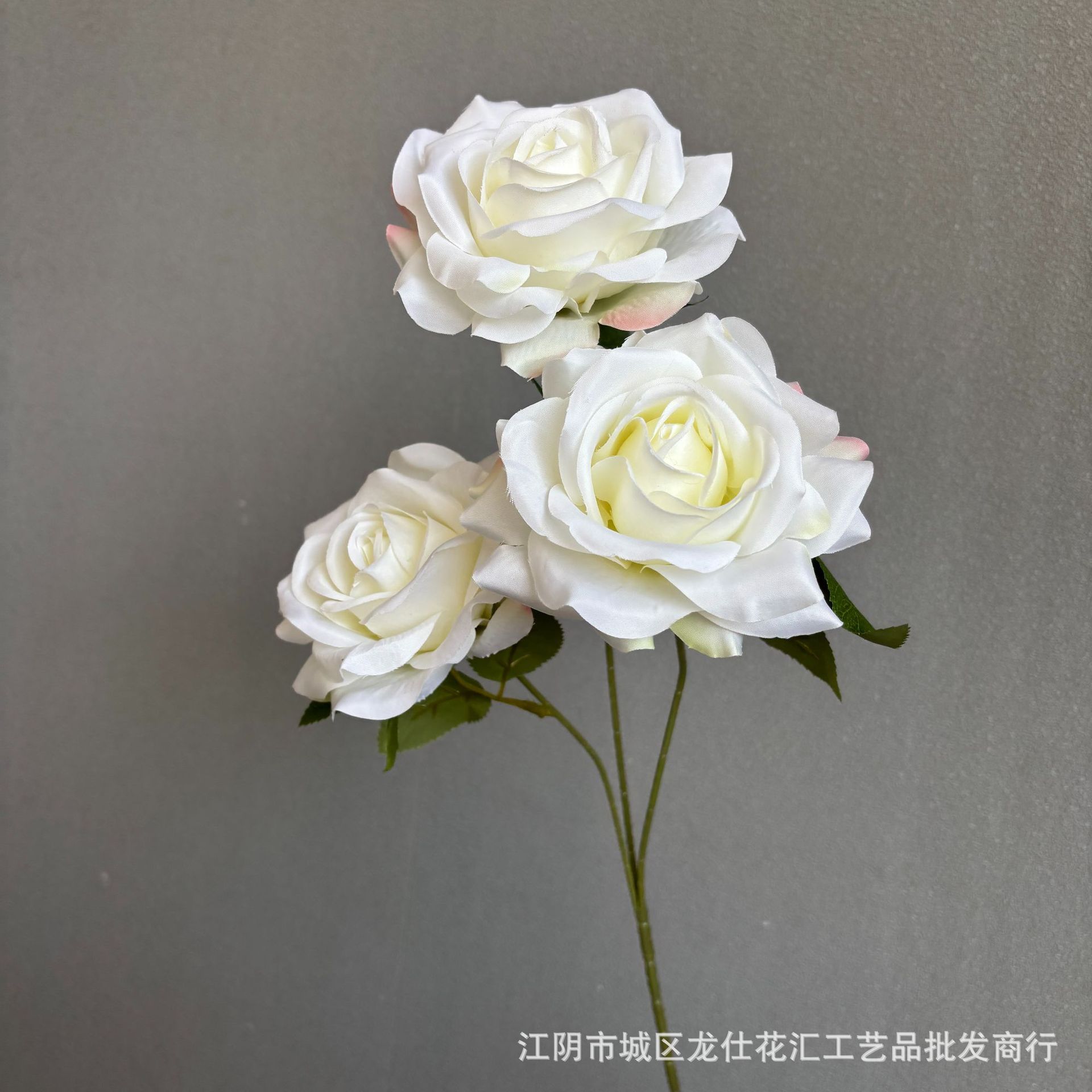 야수파