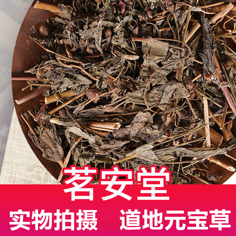 批发中药材元宝草 现货小叶金钱草 合掌草 对月草 叶抱枝 哨子草
