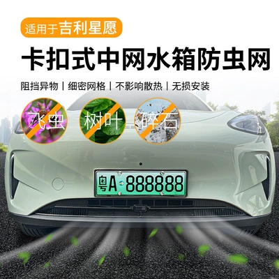 Front Face Grille Special Modified | Automobile anti-insect net