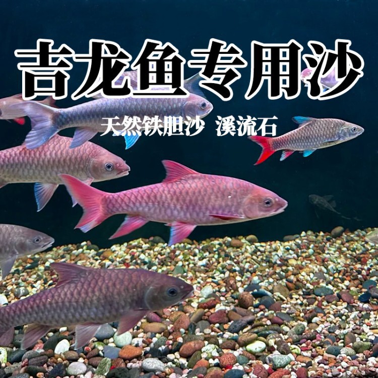 Special Iron Sand for Gila Fish, Stream Stone Aquarium Landscaping Sand, Natural Black Sand for Turtle Tank, Aquarium Decoration, Crayfish Special Iron Sand for Gila Fish, Stream Stone Aquarium Landscaping Sand, Natural Black Sand for Turtle Tank, Aquarium Decoration, Crayfish