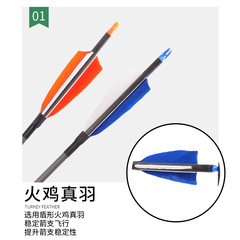 弓箭射箭器材 真羽純碳箭戶外練習碳素箭反曲美獵傳統弓比賽箭支