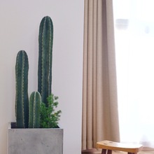 仙人柱量天尺盆栽北欧风室内大型客厅好养多肉植物无刺仙人掌绿植