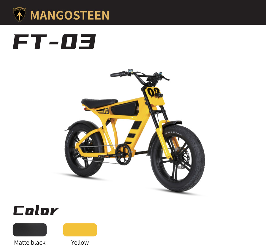 FT03
