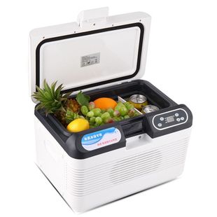 Car Refrigerator Truck Small Refrigerator Car Small Refrigerator Car Home Insulin Medicine Refrigerator