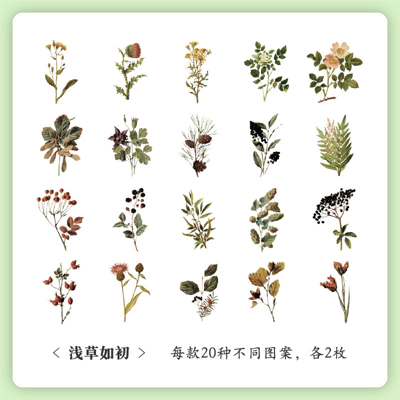 Museo Natural serie mano cuenta pegatinas bolsa vintage planta flor pegatinas mascota impermeable Flor Mariposa pegatinas