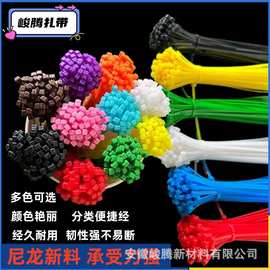 彩色扎带 自锁式尼龙扎带 厂家批发量大优惠 多种规格品质保障