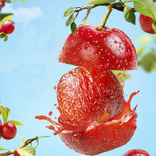 ����ɽ髹����o��ɽ�������T���o���Ǻ��J�����ڷ�����ɽ����ʳ