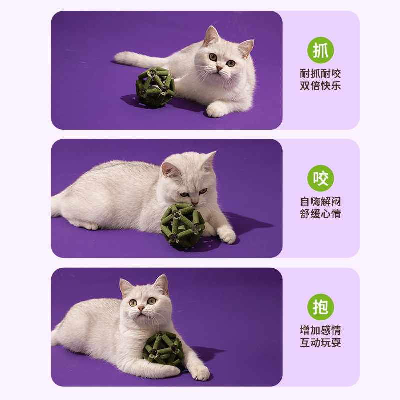 Nuevo estilo lamiendo música gatero bola de menta snacks para gatos dientes dientes afilados pelotas exquisitas suministros para gatos juguetes divertidos para gatos al por mayor