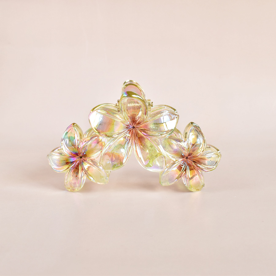 86g Weight Hair Clip, Hair Claws Hair Accessories Type 1 Piece Quantity Holiday, Daily, Selfie Occasion Plastic Material Flower, Fish, Shark, Plumeria Pattern All Seasons Season Women's Gender Cute Style Cute Women's Flower Fish Shark Plastic Hair Clip Hair Claws 9