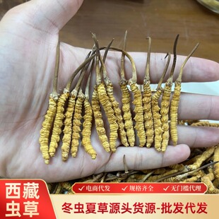 ���ظߺ��ζ��x�Ĳ����l�x�ݸ�؛��ɟo������L݅�ݾ��Ҝ���Դ�^