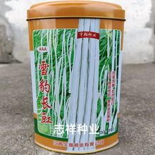 宇翔雪豹长豇豆种子银白色豇豆肉厚质嫩白豆角种孑500克