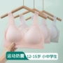 夏天女孩学生少女文胸