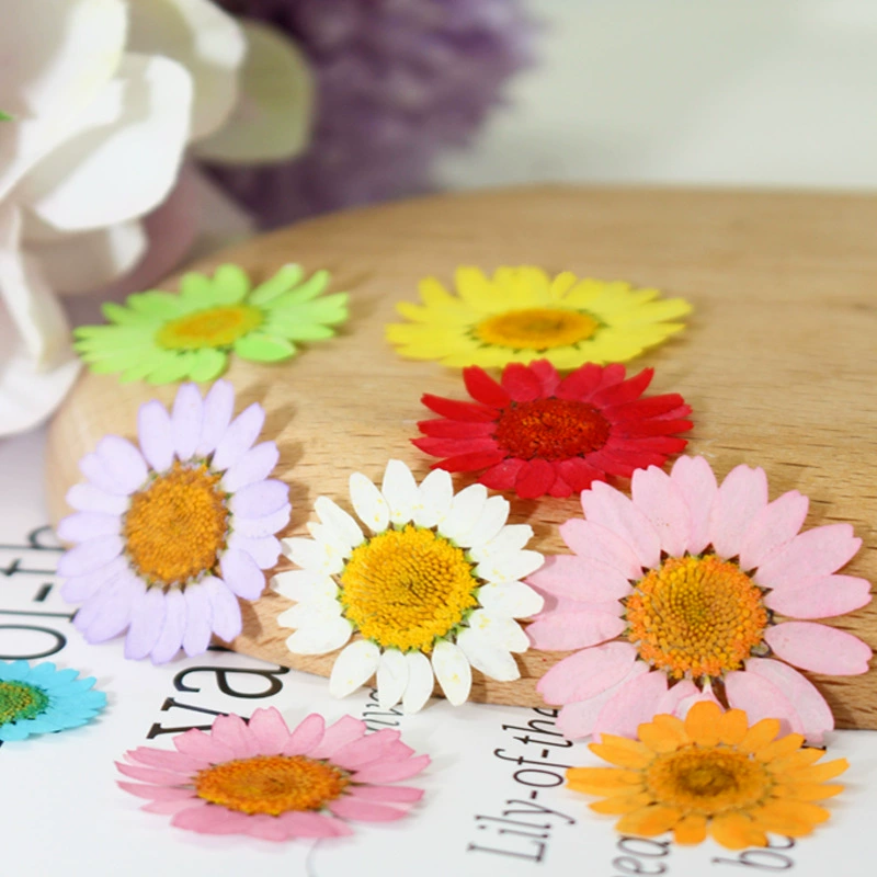 Белый Кристалл Хризантема сушеный цветок тисненый образец растения DIY Ручной Работы Фоторамка Закладка Ароматерапия Свеча гель капля чехол для мобильного телефона украшение