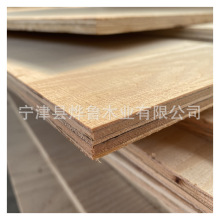 ���~��ľ�l���Ӱ���ľLVL�ؑc�s���h0324���حh�����Č�ľ