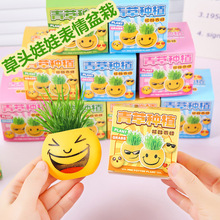 趣味表情草头娃娃盆栽创意办公室迷你绿植室内桌面青草种植小礼物