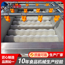 黄精中药材平行毛辊清洗机海蛎子毛刷清洗设备甘蔗板栗喷淋清洗线
