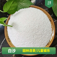 石英砂 枯山水白沙子 鱼缸造景细沙酒店垃圾桶灭烟砂 石英沙颗粒