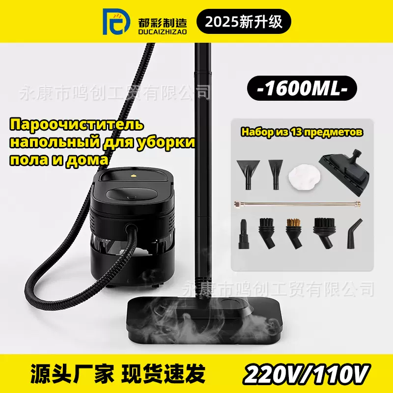 220V跨境多功能蒸汽拖把 高温高压蒸汽清洁机 家用厨房清洗机新品
