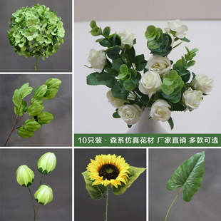ɭϵ���滨10֧�b��픾Gֲ�~�ӻ�c�G�������~�b��߻��٘��~
