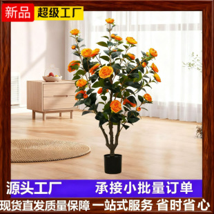 0.95-1.7�ײ��������軨��Gֲ���ԼҾ��b� �[���҃��p�ݷ���