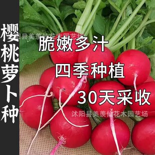 }N̨߲˹Ϲˮ}}Ѵɿļ