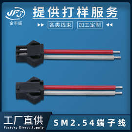 SM端子线厂家批发 2.54mm公母对插线 LED灯饰灯板电源线 24awg线