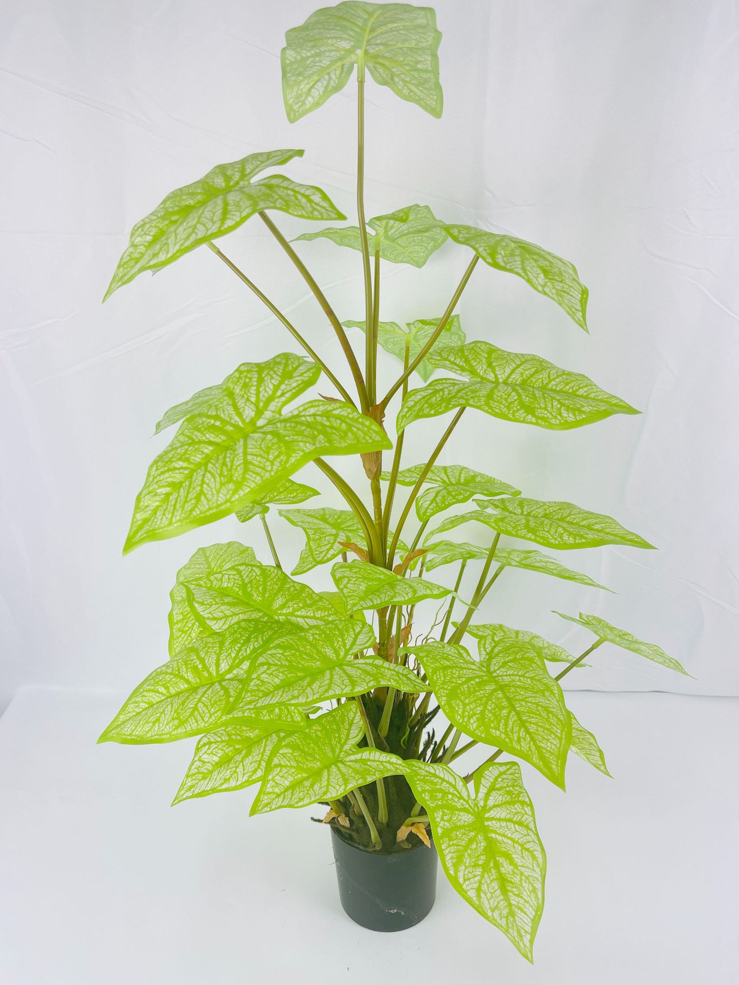 微信图片_20230529150128