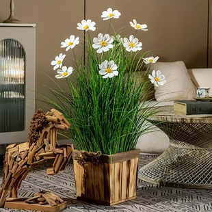 �羳���N�����˻���������6�^������˹��