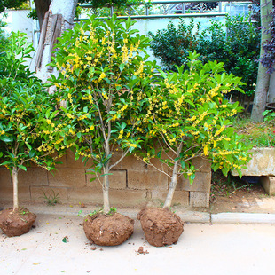 �𻨘������Խ���҃��̨����ֲ���ļ����С���ͺ���ꎿ͏d�_��