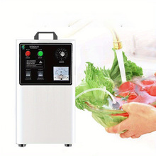 20g厂家供应水处理除臭臭氧发生器水消毒杀菌处理10g/h果蔬机清洗