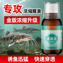 国良战鲶鱼打窝饵饲料胡子土大口鲶塘鲺钓鱼小药开口诱食浓缩腥臭